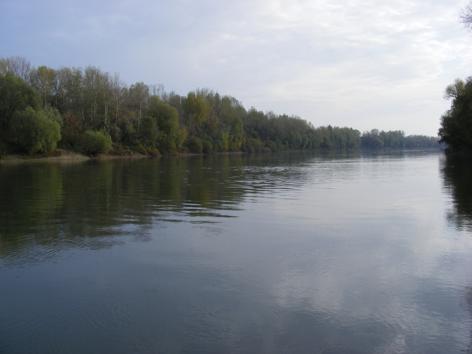 Őszi Tisza6