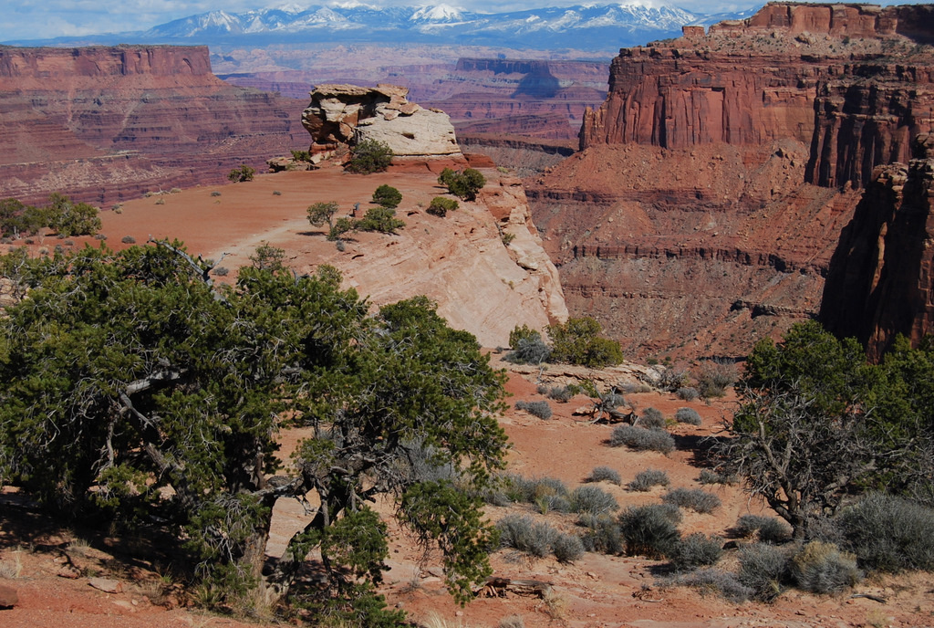 US 2011 Day11  063 Island In The Sky, Canyonlands NP, UT