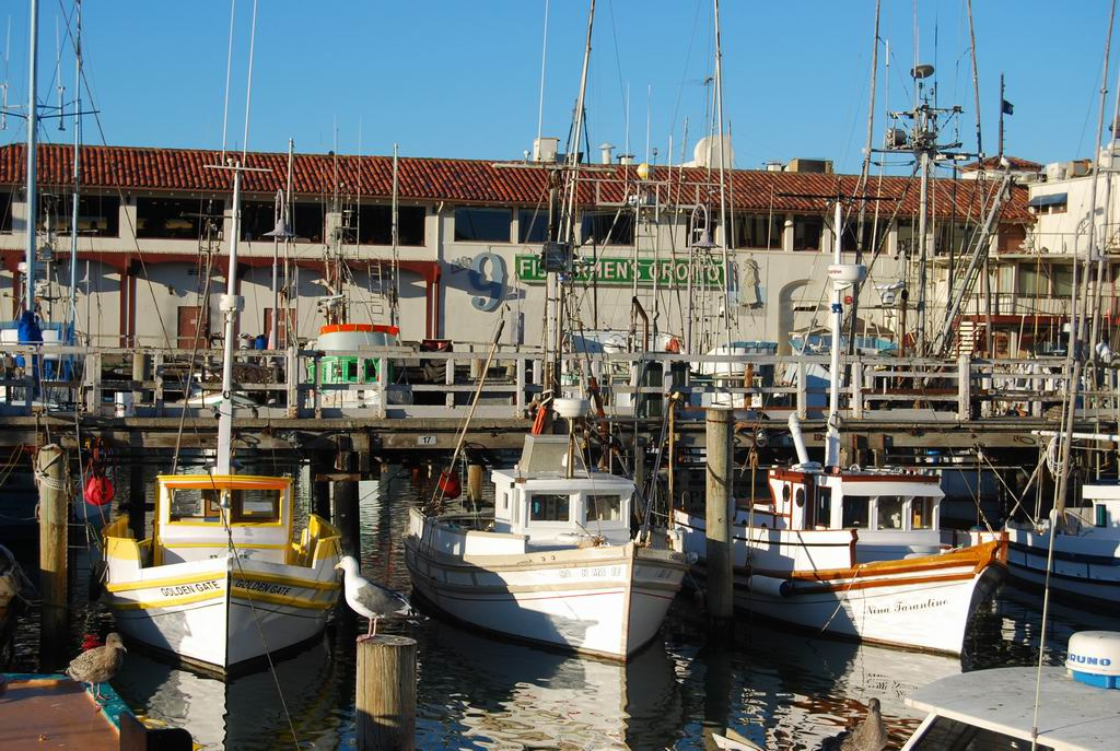 usa08 1086 Fishermen's Wharf, San Francisco, CA