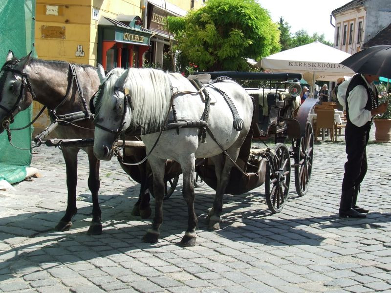 Lovaskocsi a főtéren