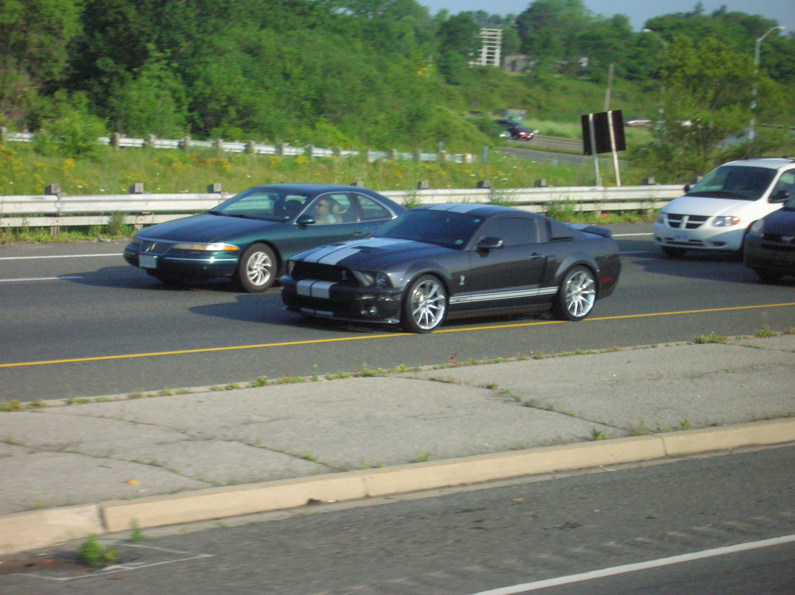 Shelby mustang