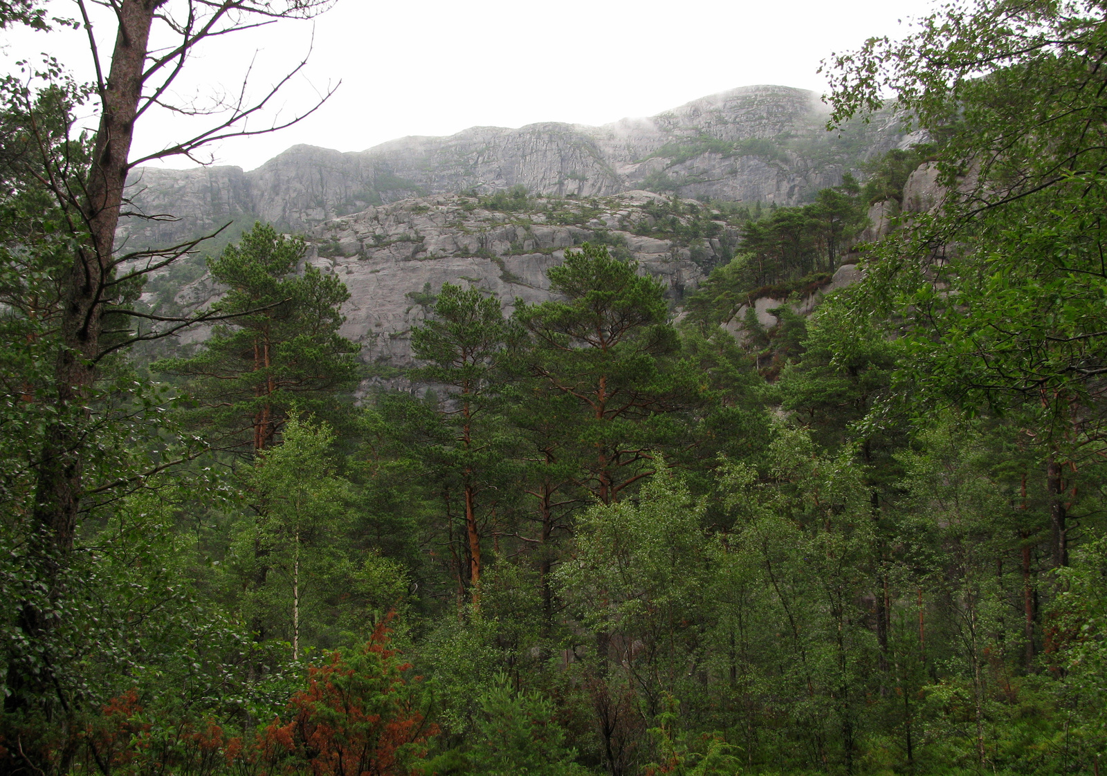 táj Preikestolen-re menet