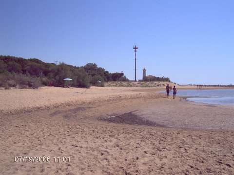 Bibione mindenhol...