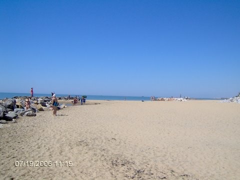 Bibione mindenhol...