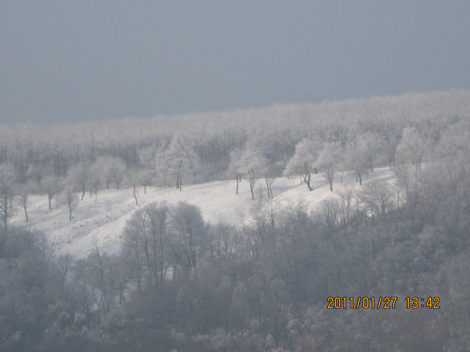 Legénd-Sáp 2011.01.27. 048