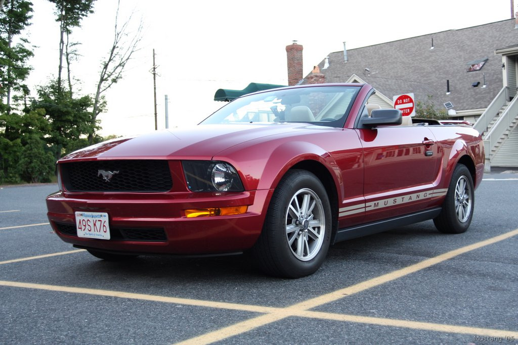 Mustang 15
