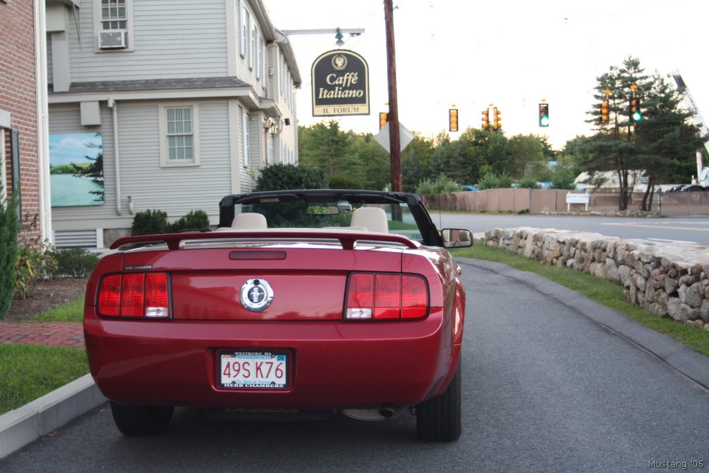 Mustang 48