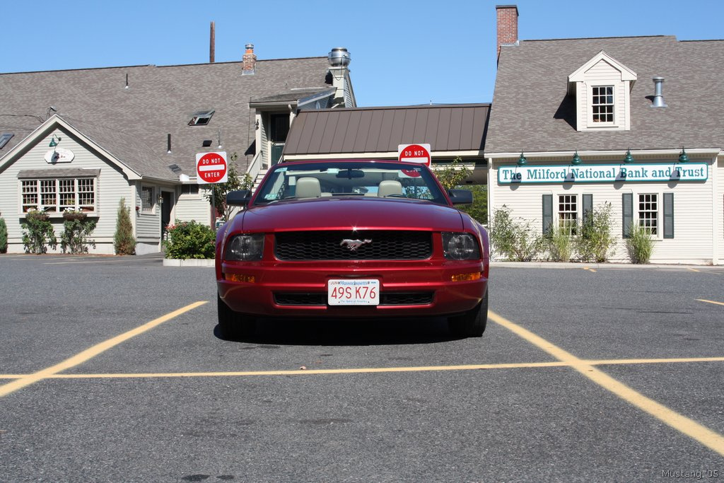 Mustang 07