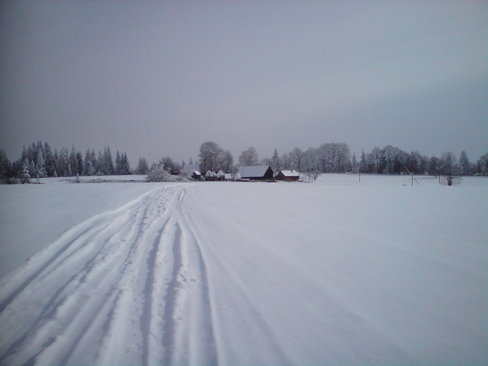 ...fenyőkúti panoráma..