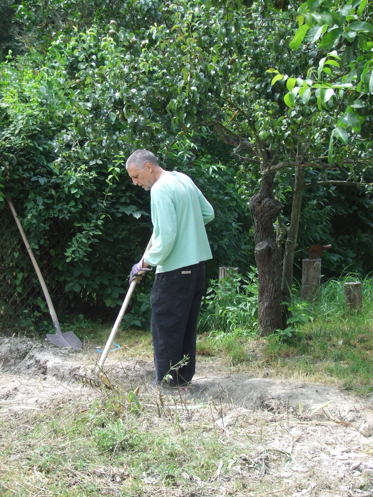 magányos harcos