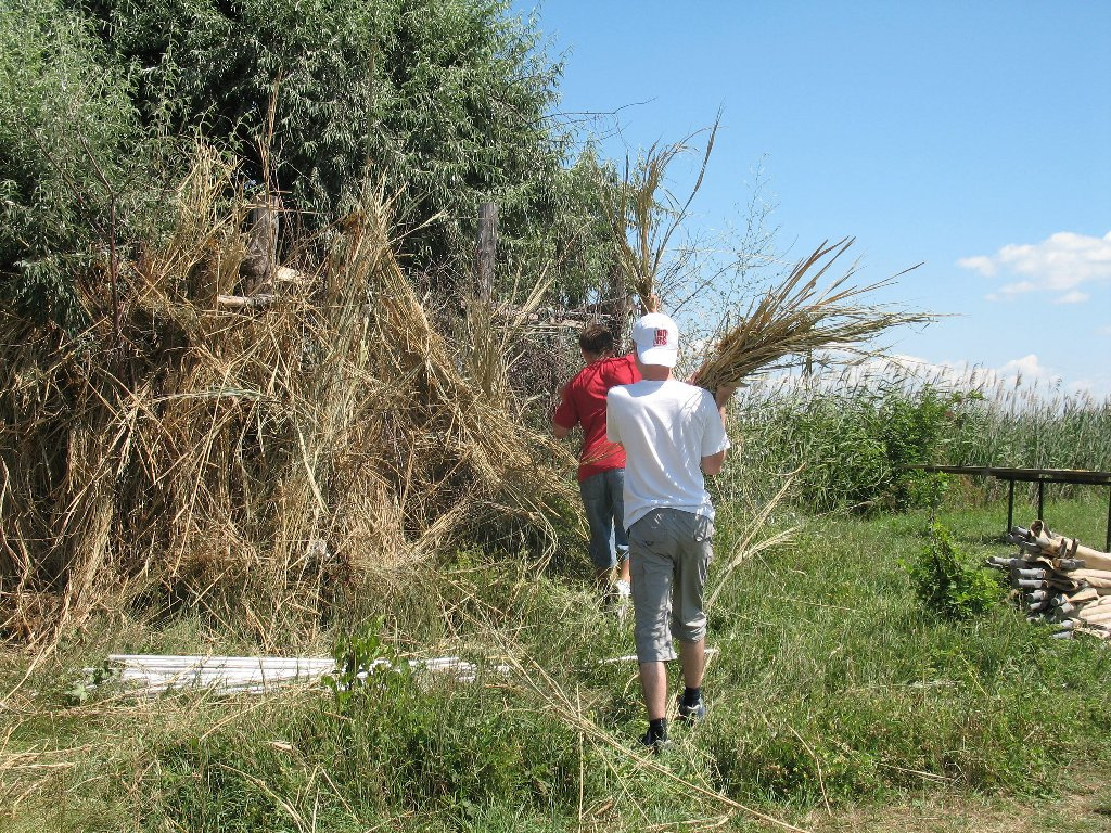 Nádat a gyűrűzősátorra