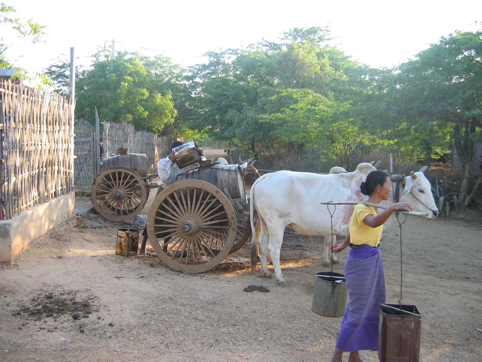 Bagan