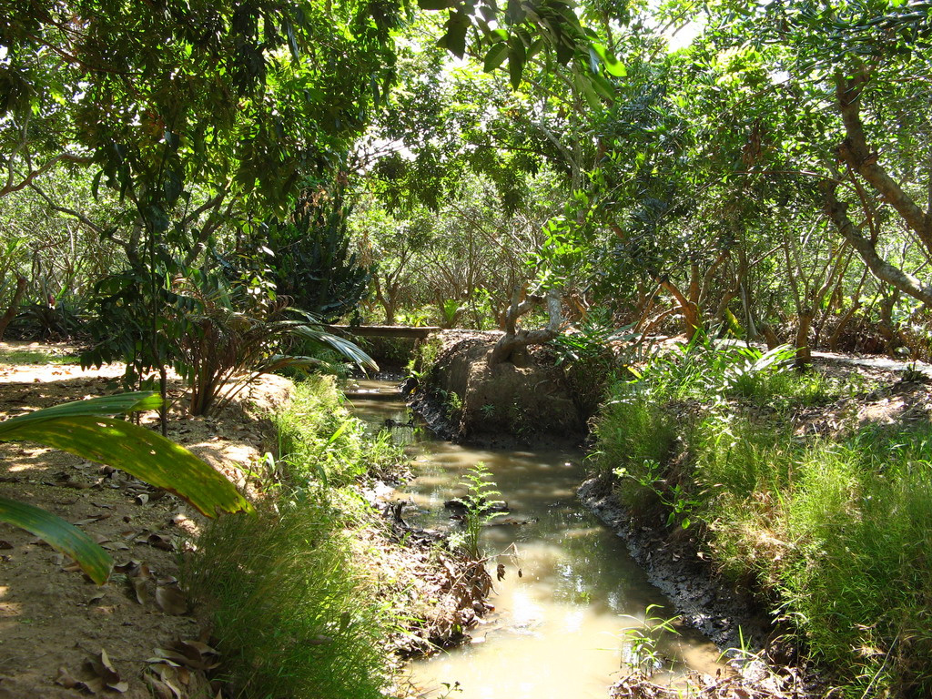 MEKONG DELTA