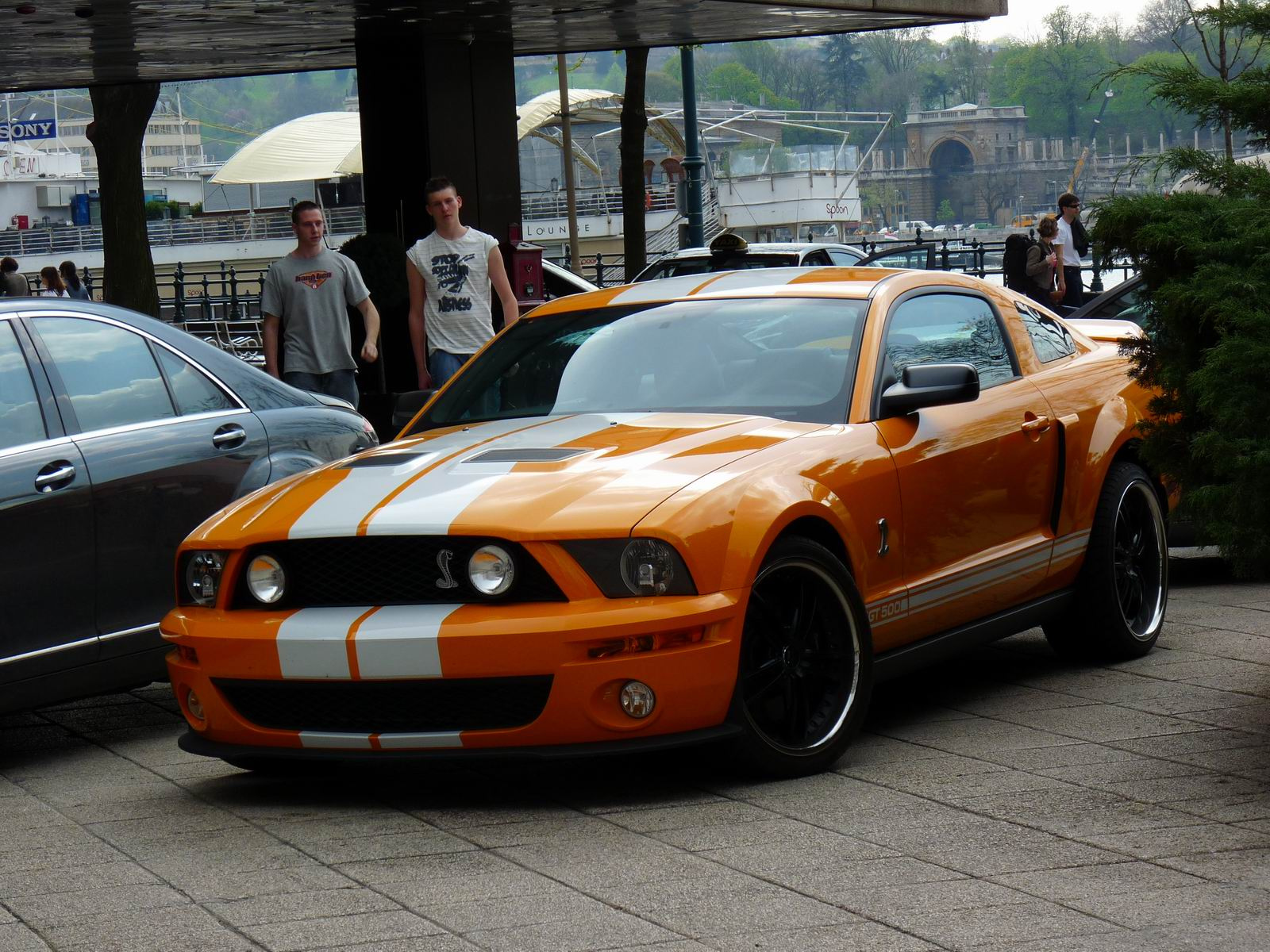 Shelby GT500