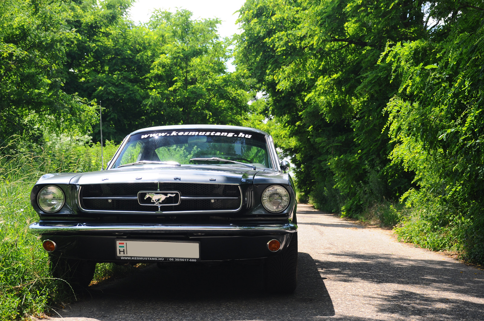 Ford Mustang Fastback