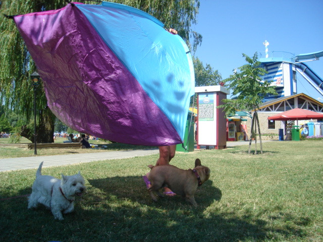 2008.július Balaton 001