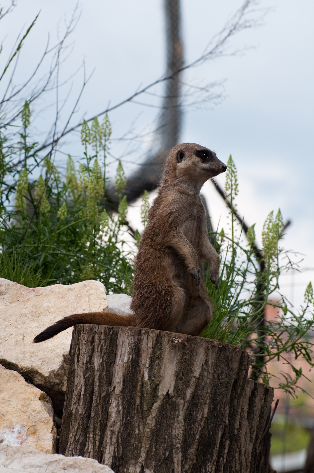 zoo2010-0120