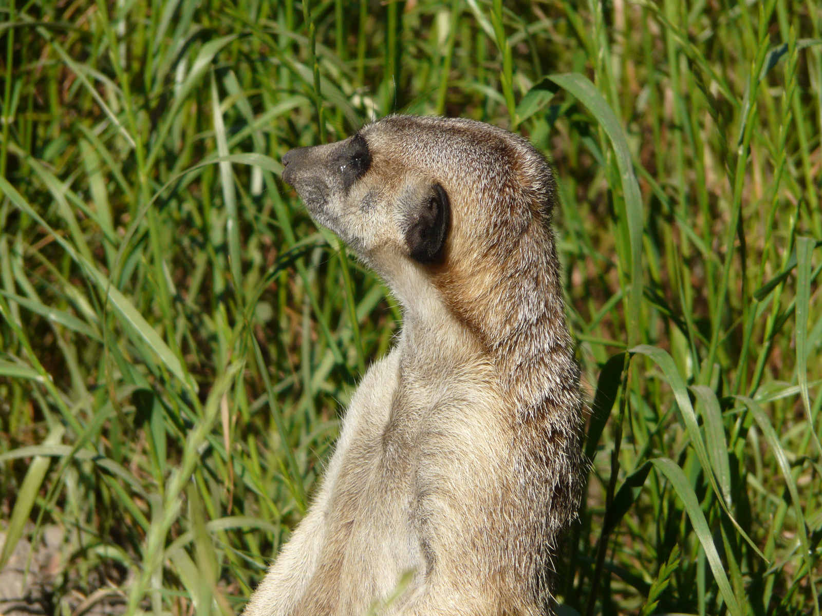 Osztálykirándulás 2009 068