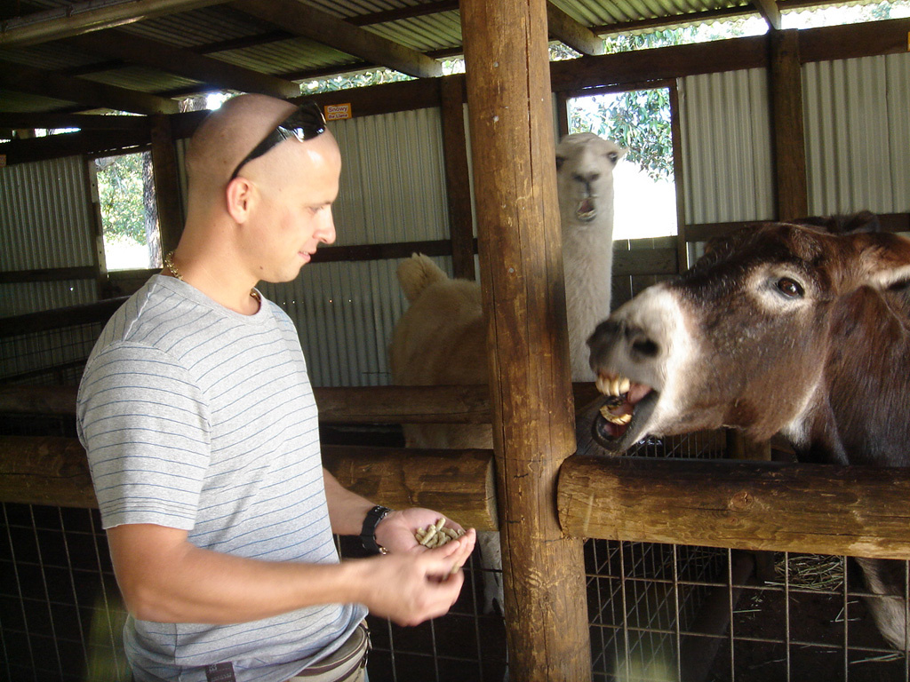 Australia Wildlife Park 2008.05.03 044