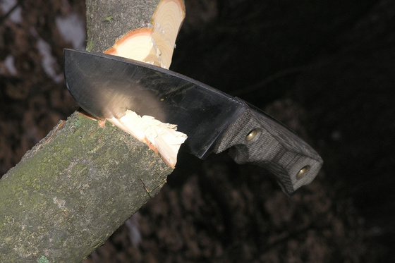 Kesportal: kép 10. Bábel famunka közben átméretezett
