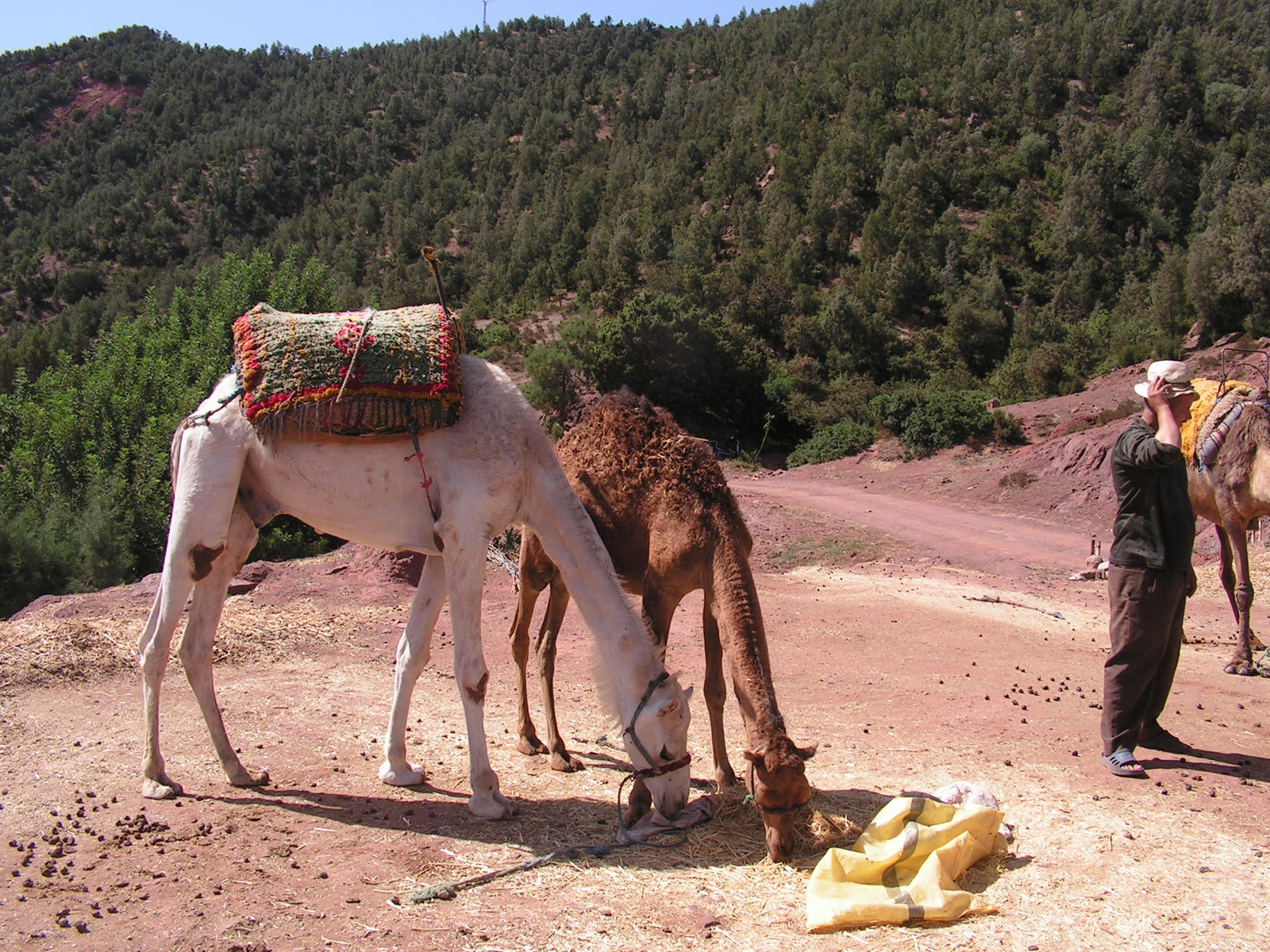 Marokkó 2010 188