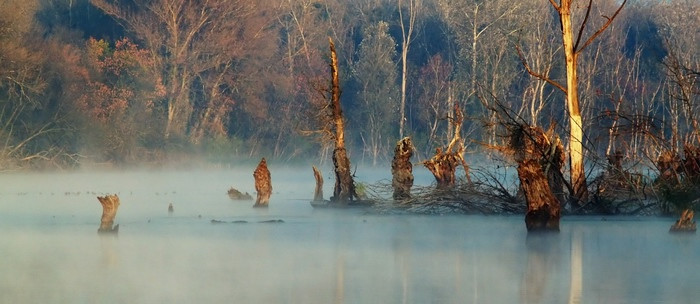 Ősz (Mártély)