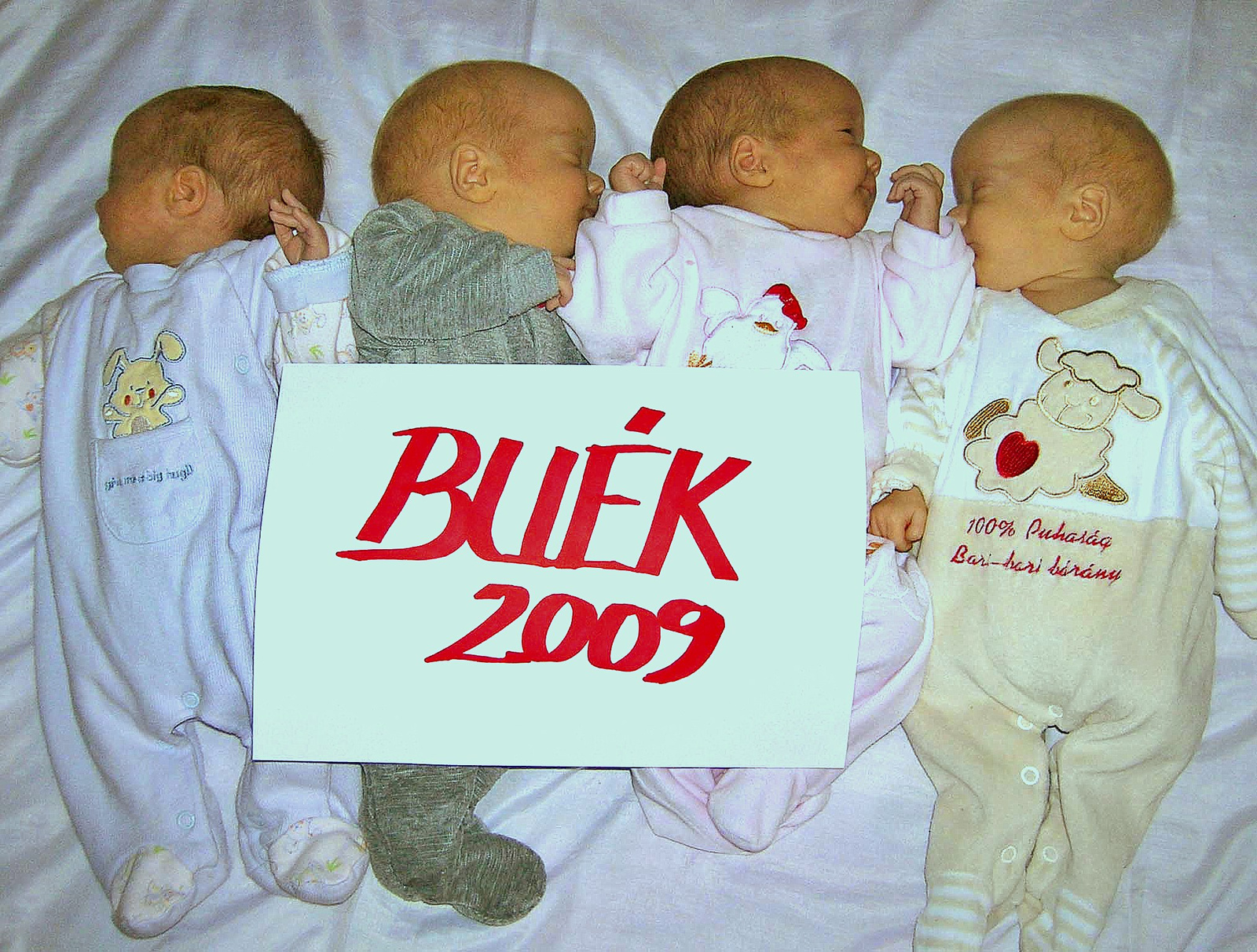 buék