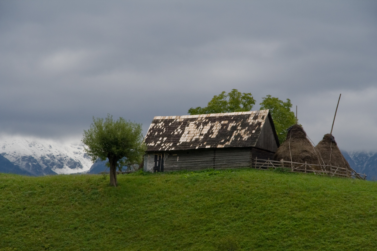 Bran környéke