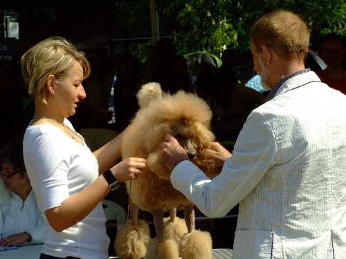 Szilvasvarad 2011 063