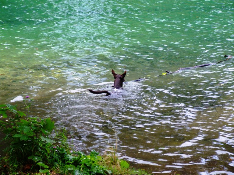 Grunau Almsee 06