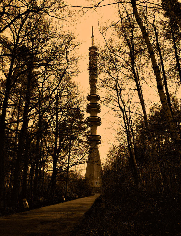 tower in the forest by pauljavor