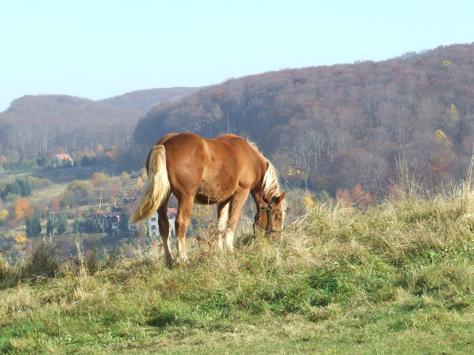 Bükk 2008 ősszel 059