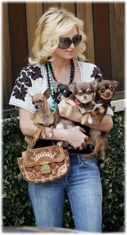 paris-hilton-louis-vuitton