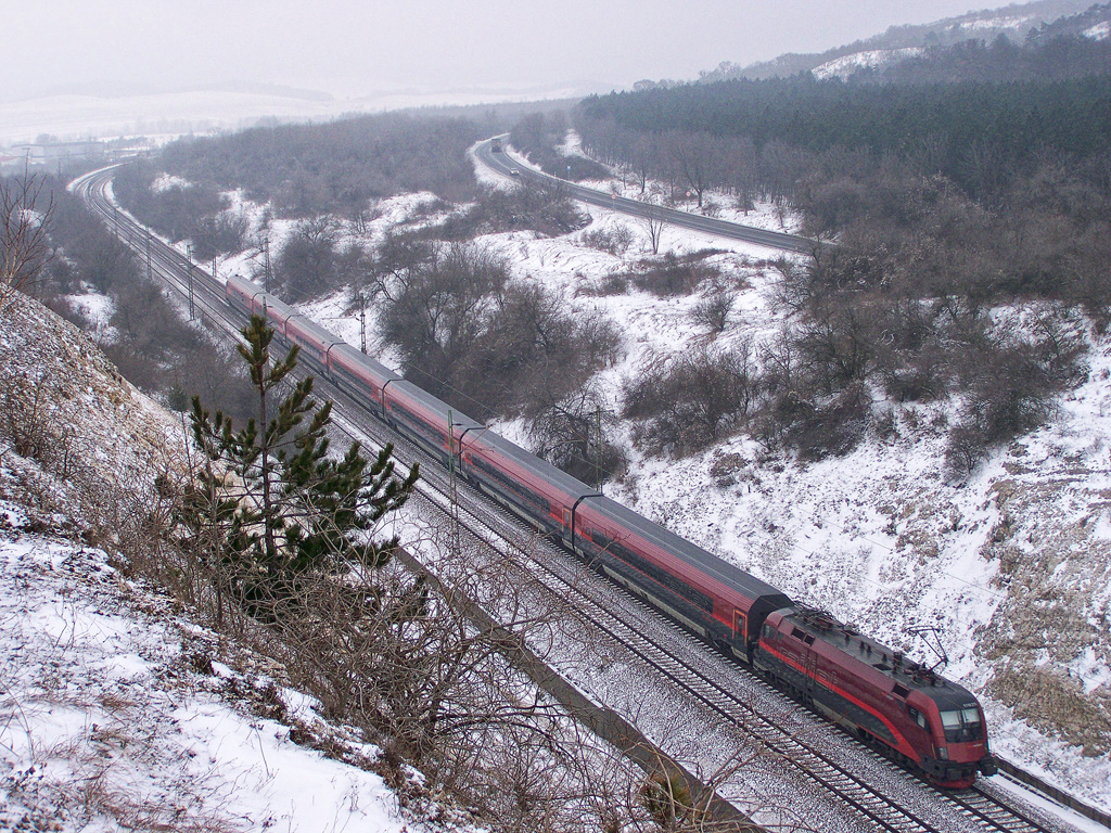 1116 216 - 5 Szár (2010.12.30).