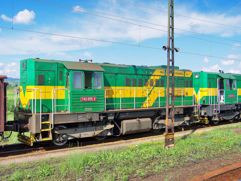 740 855 - 2 mezőzombor (2009.06.24).