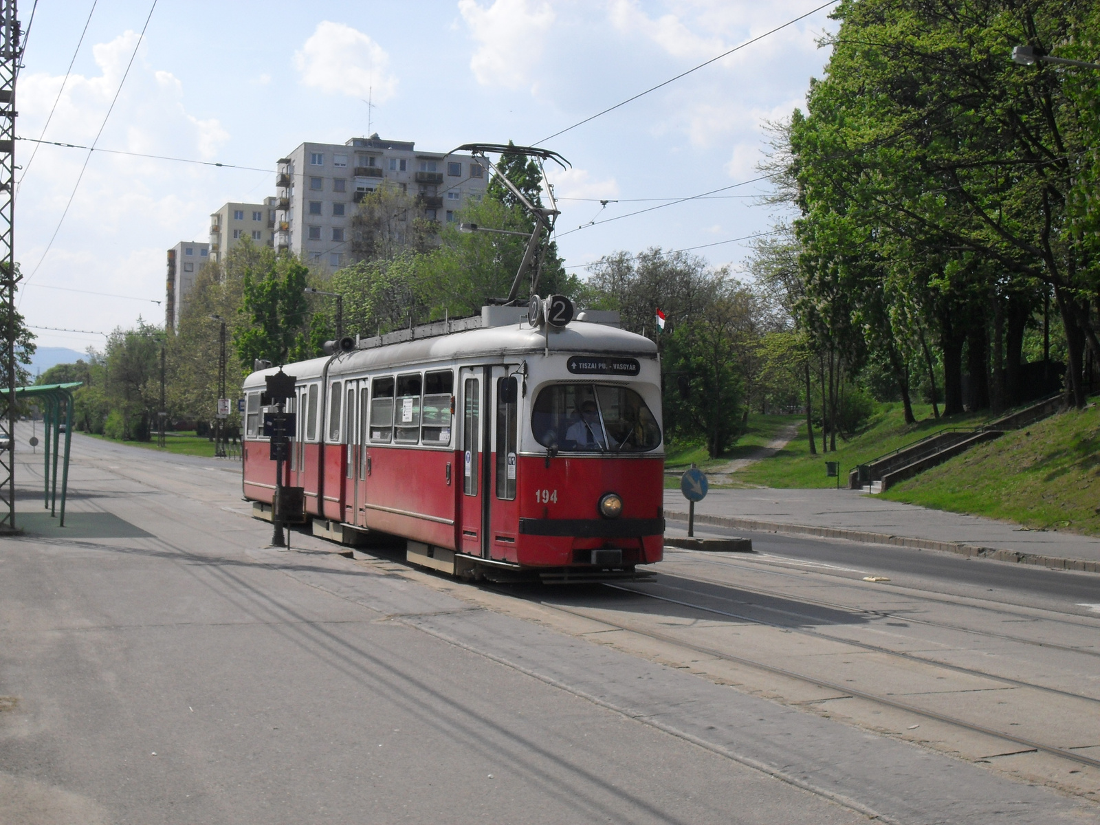 Szent Anna tér SGP tujával