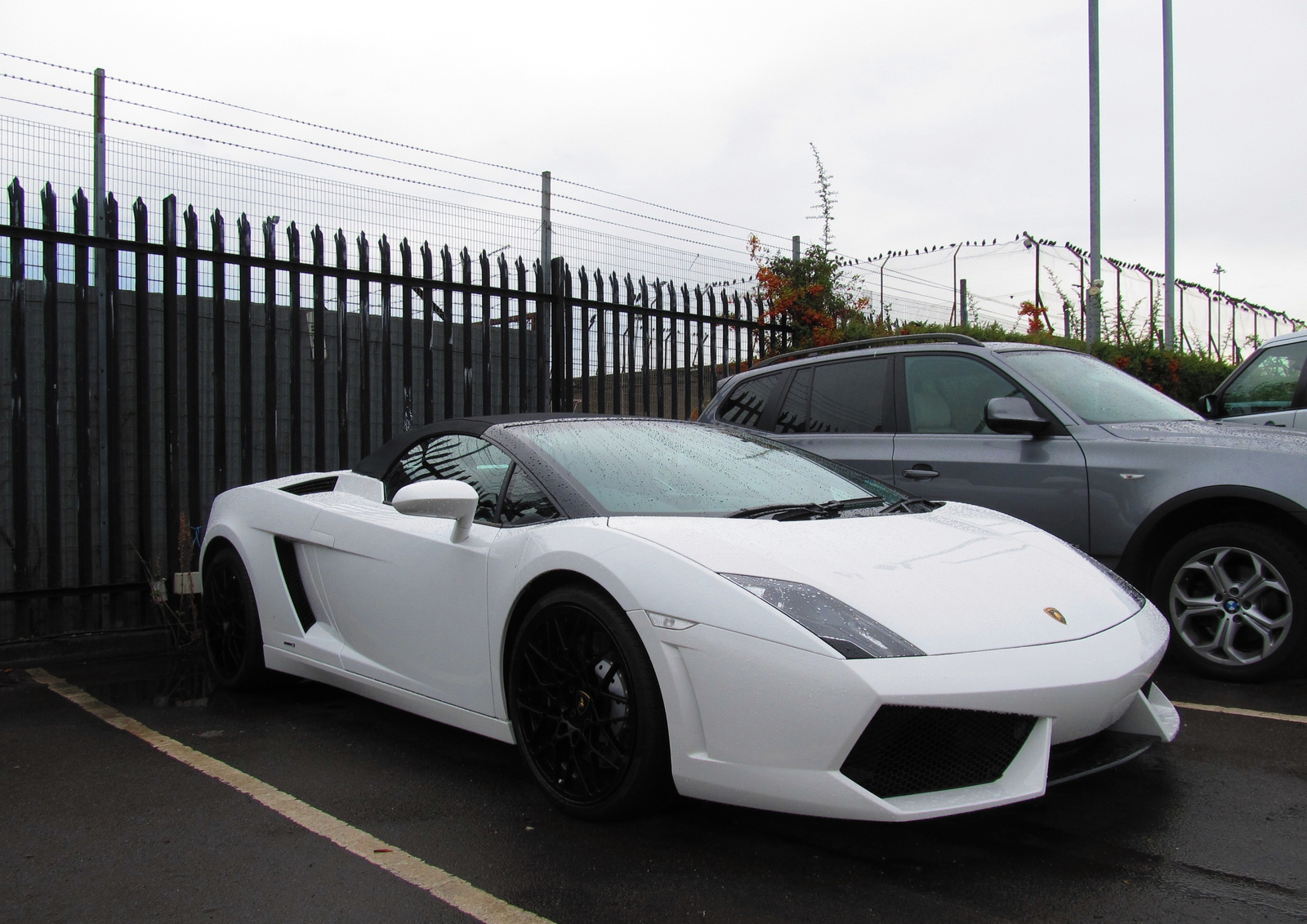 Lamborghini LP560-4 Spyder