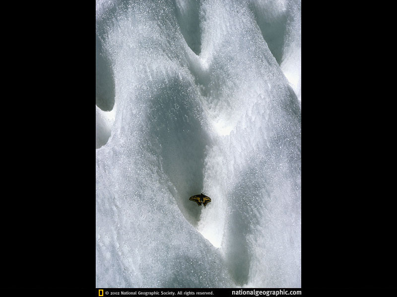 1974 - Pinchot Pass, Sierra Nevada, California