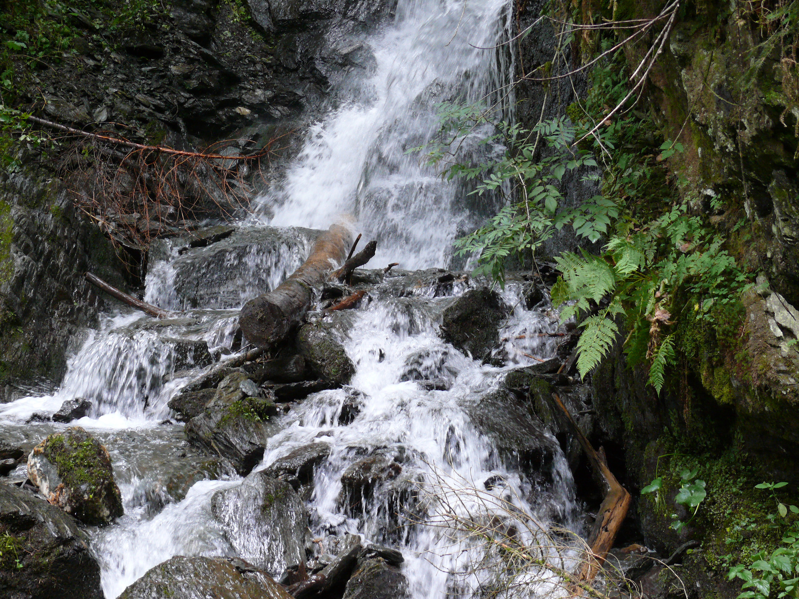 Donnersbachklamm (17)