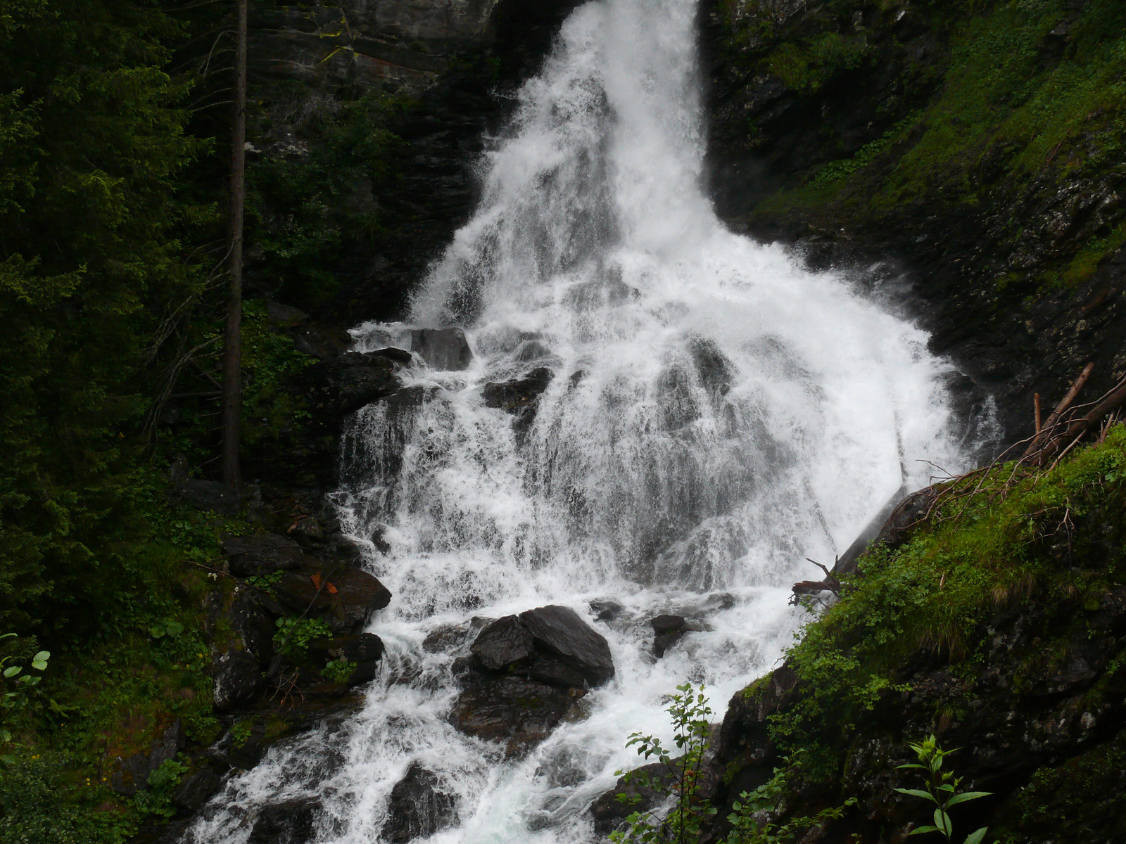 Riesach Wasserfall (8)