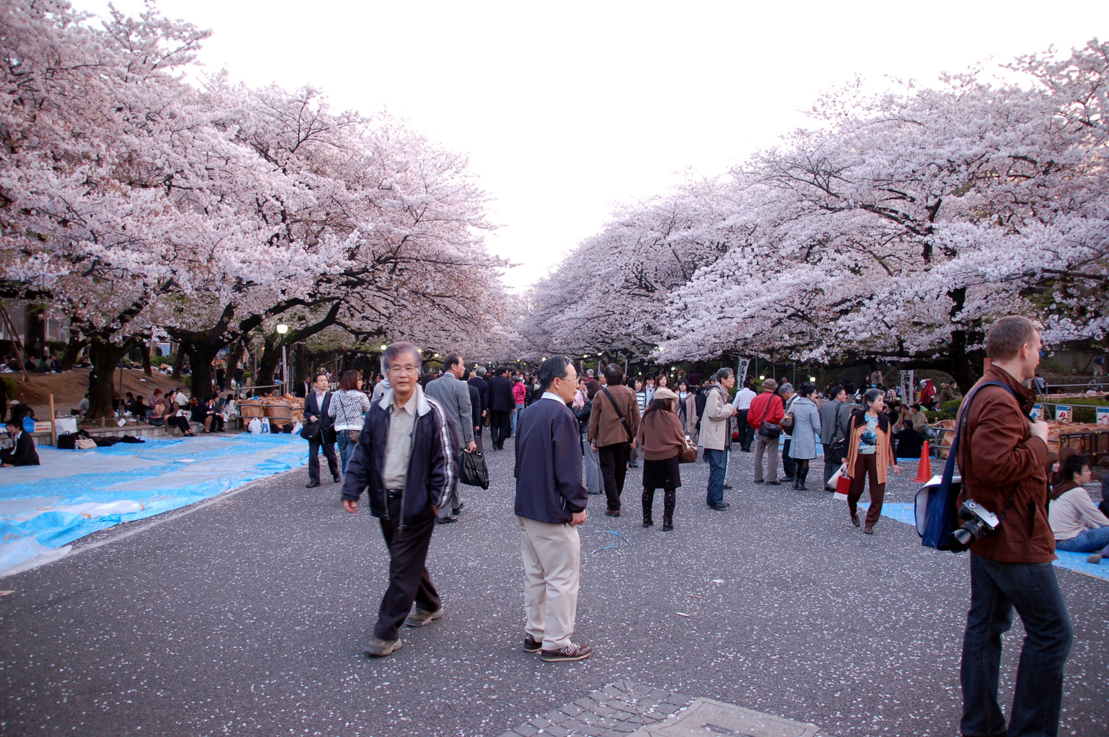 6 Tokio Ueno park 20090407 (4)