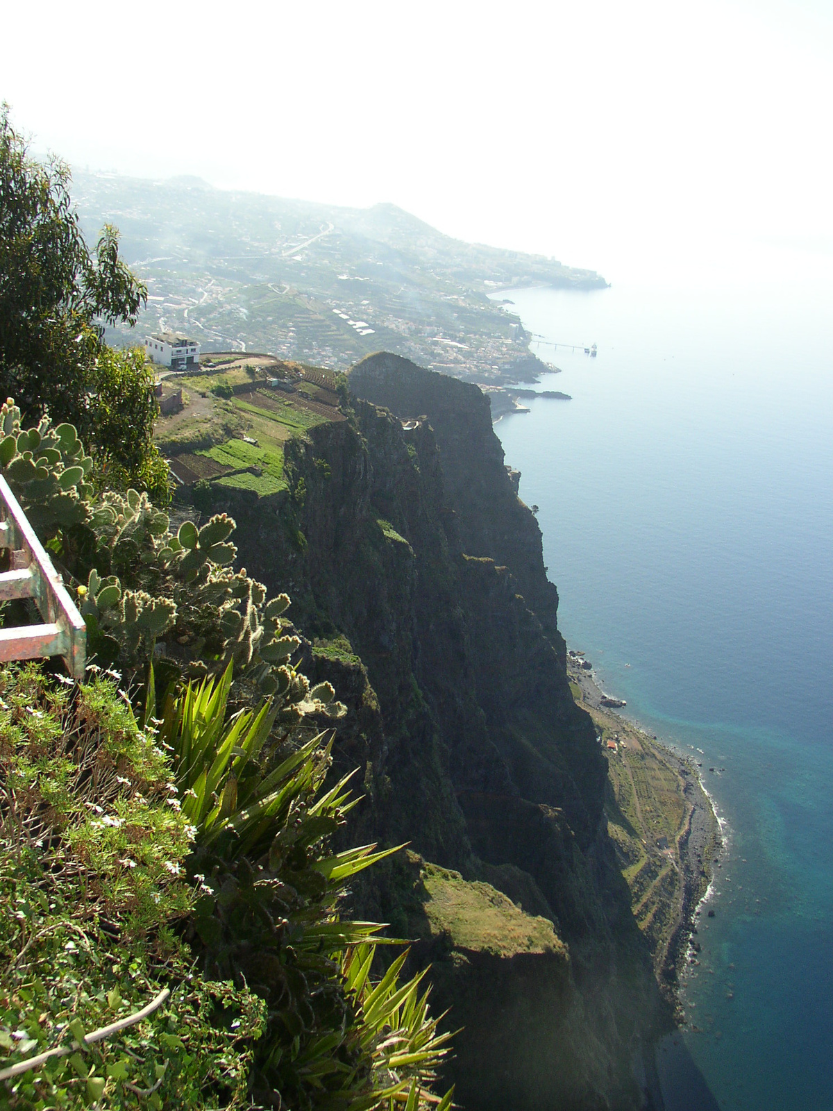 madeira2007 095