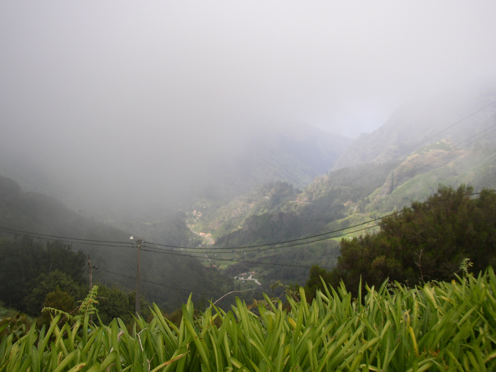 madeira2007 108