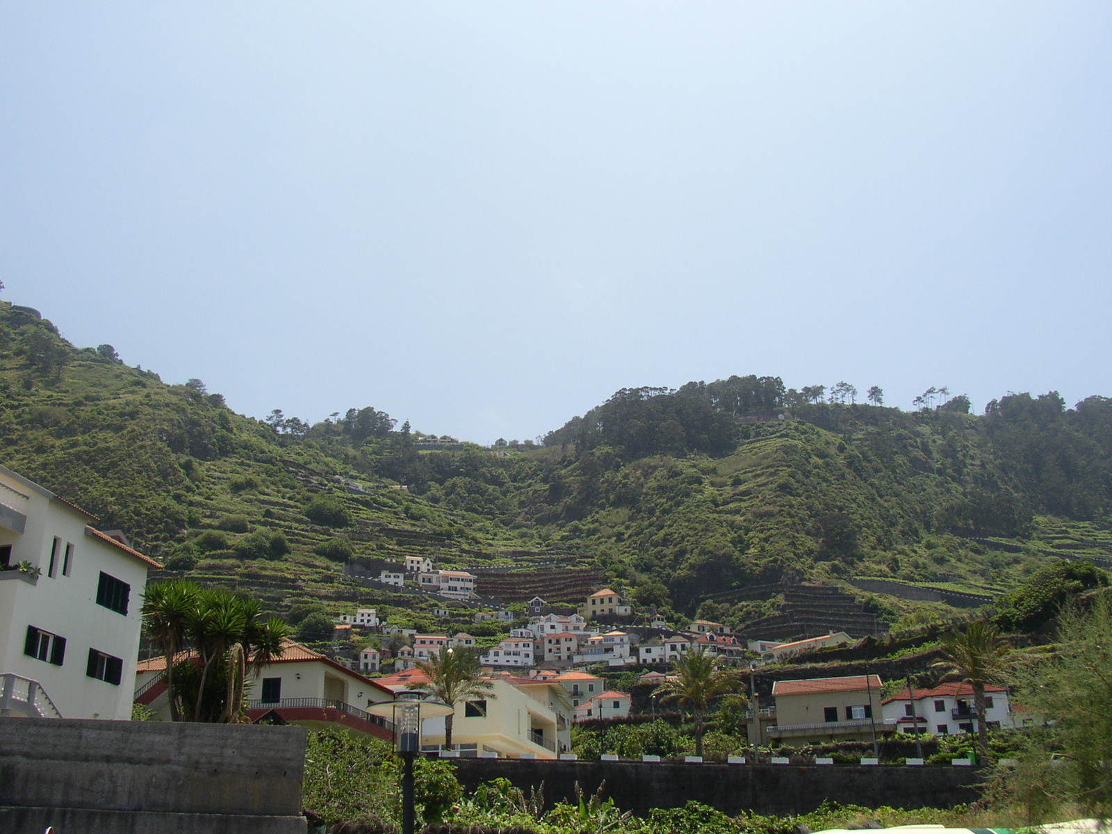 madeira2007 139