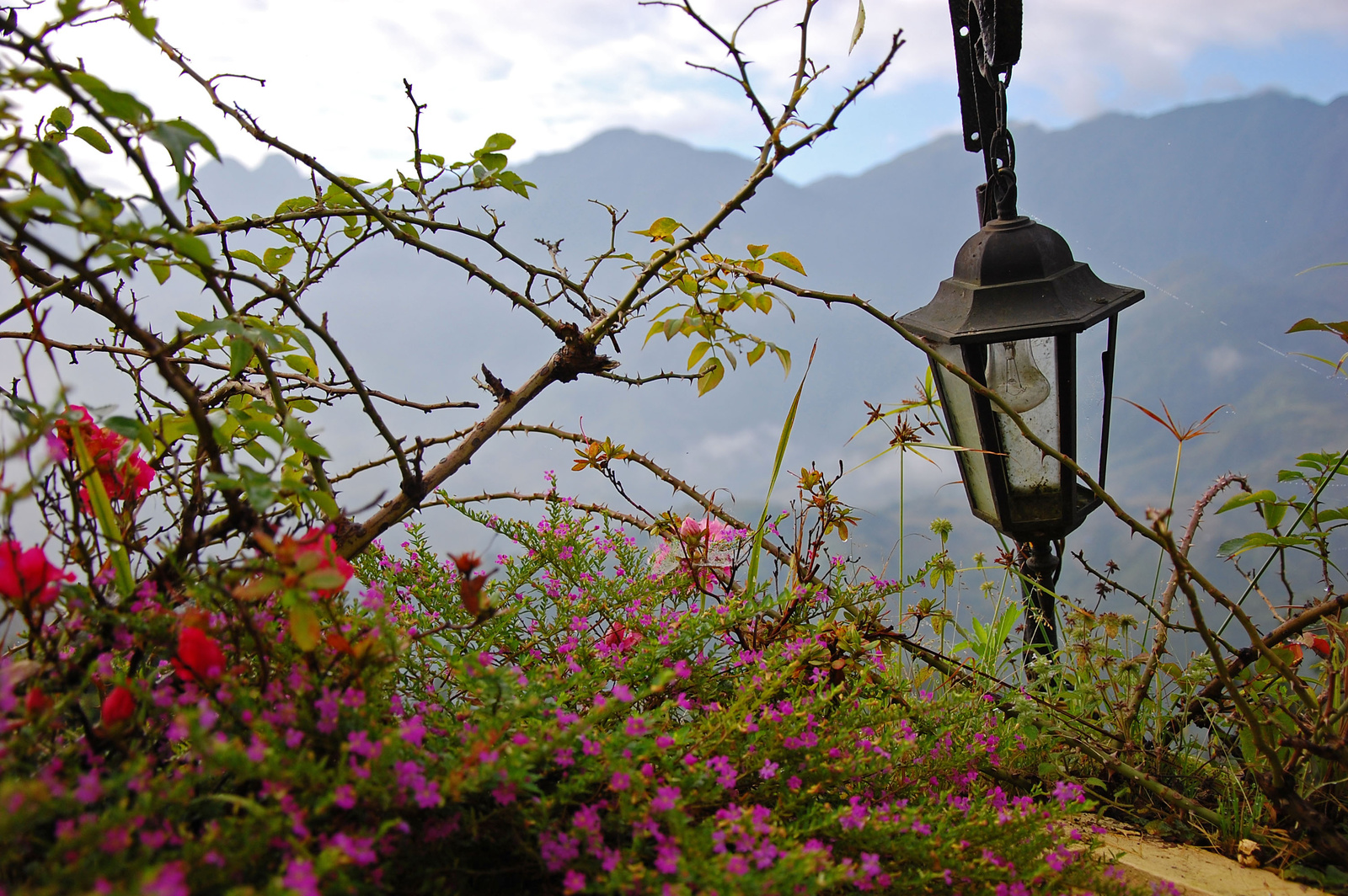 Mountains around Sapa