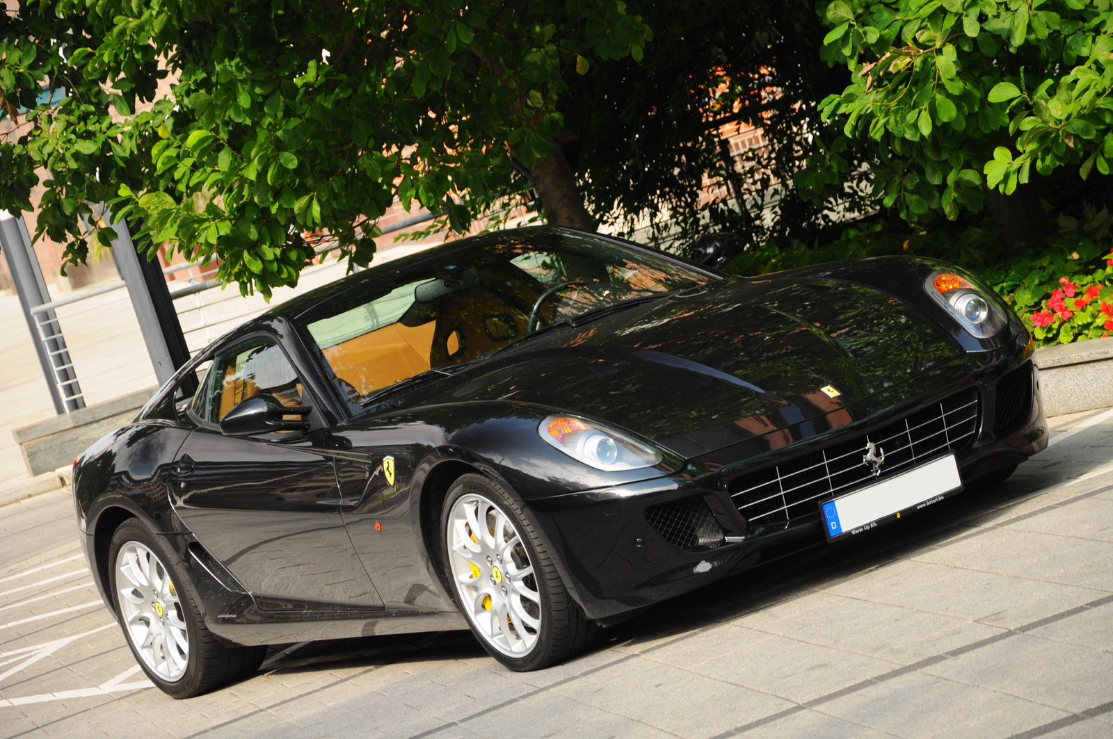 Ferrari 599 GTB 091