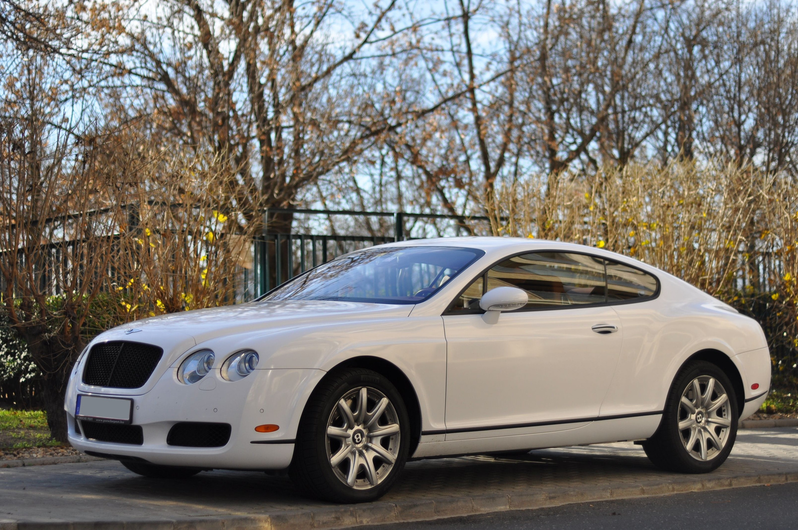 Bentley Continental GT 251