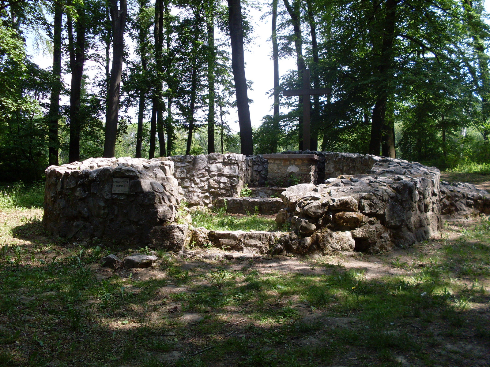 Vértesszőlős és Agostyán arborétum 085