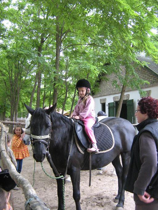 2009.06.04. Erdei óvoda Jánoshalma 022