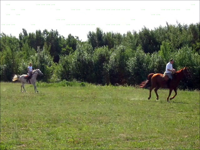 Marton-Szállás 2011.05.27-7